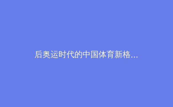 后奥运时代的中国体育新格局：职业化浪潮与全民健身的二元交响 - 3